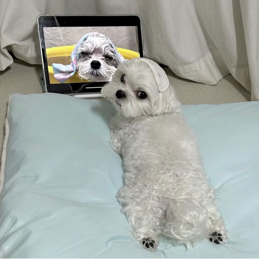 금요일 화이팅입니다!!(0)