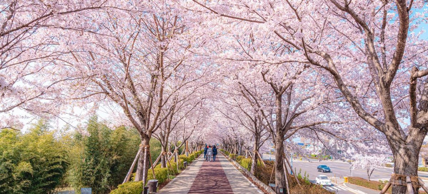 3월 계획은 변경합니다.(0)