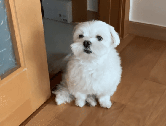 하하 드디어 닉변을(0)