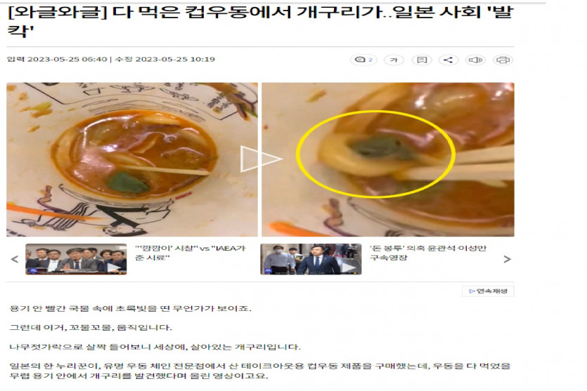 일본 컵우동에서 개구리가 나왔다는데(0)