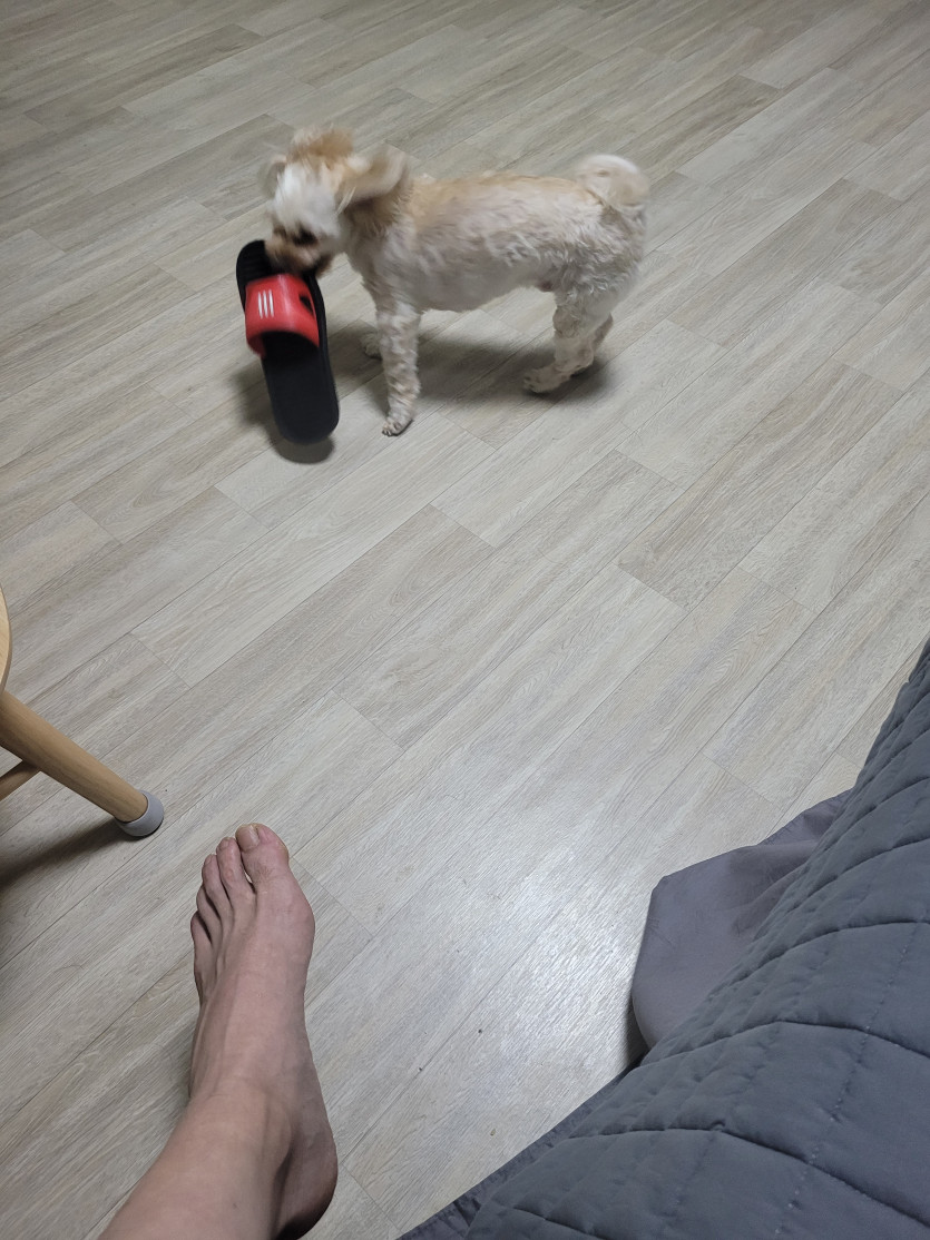 야 너 왜그랰ㅋㅋㅋㅋㅋ(0)