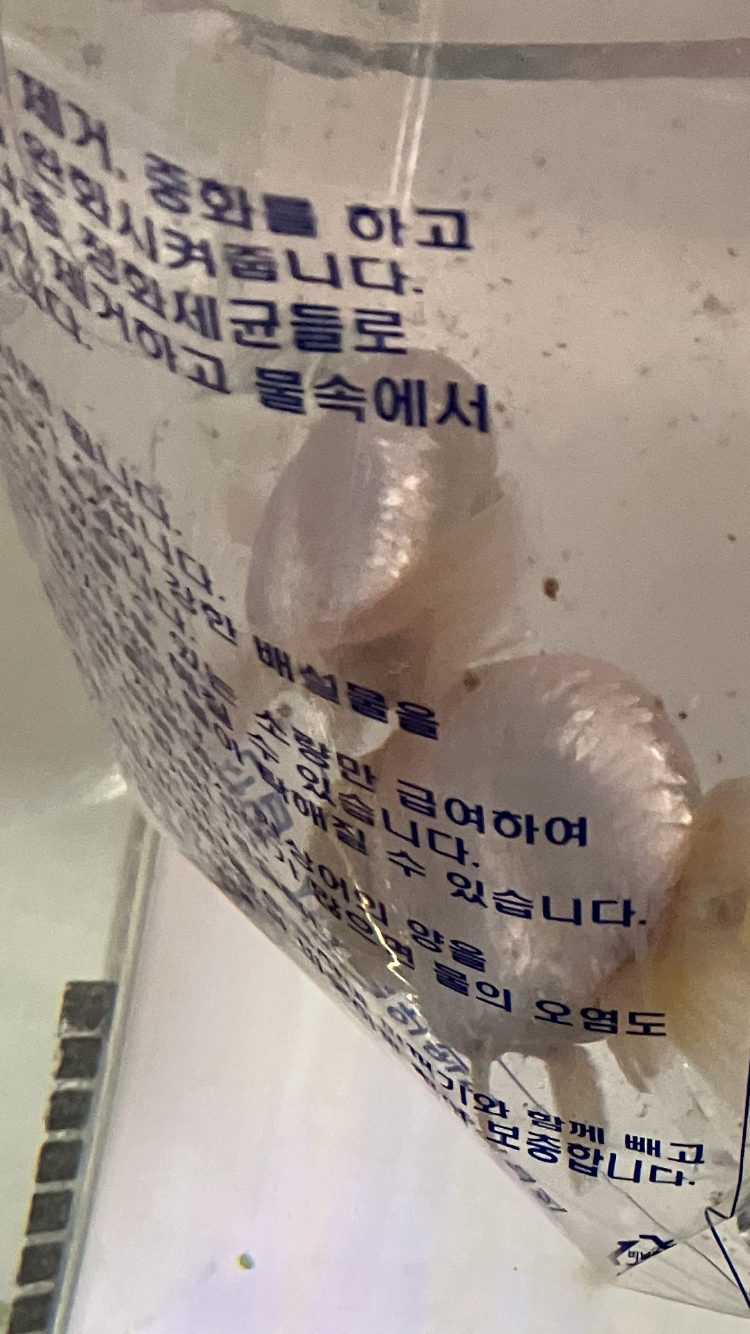 가족이 생겼어요 !(0)