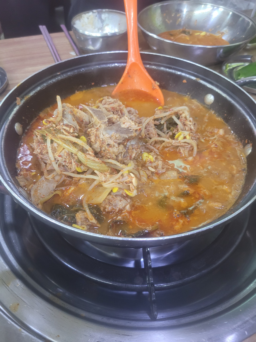 점심은 한식뷔페(0)