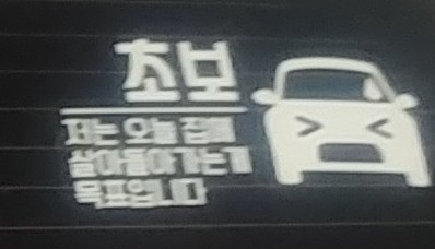 초보운전(1)