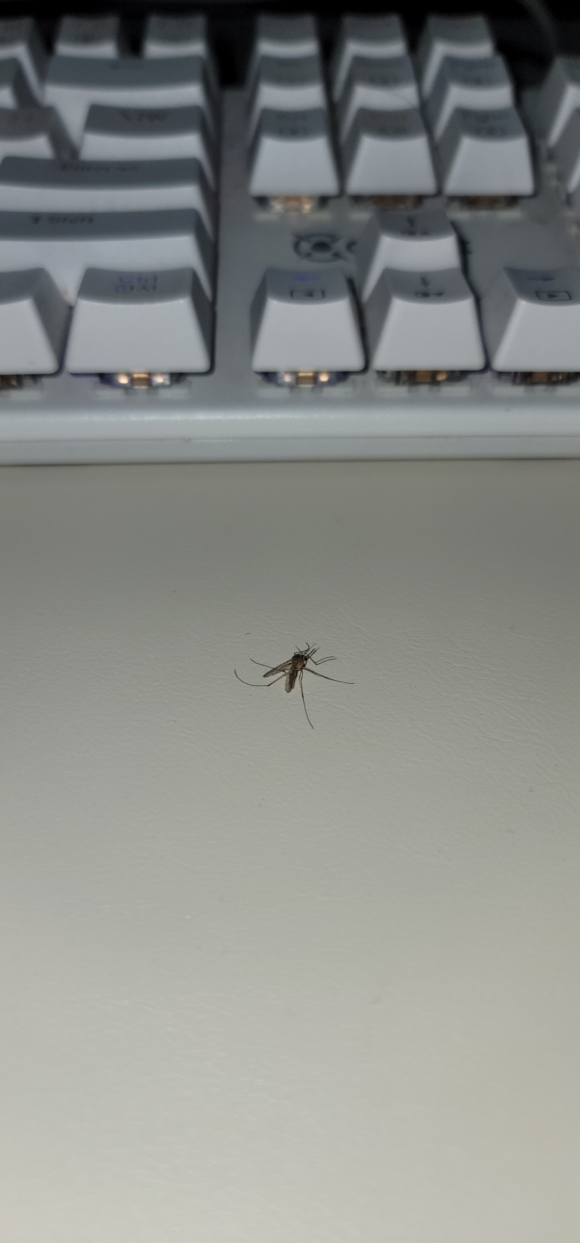 무 섭 네 요(0)