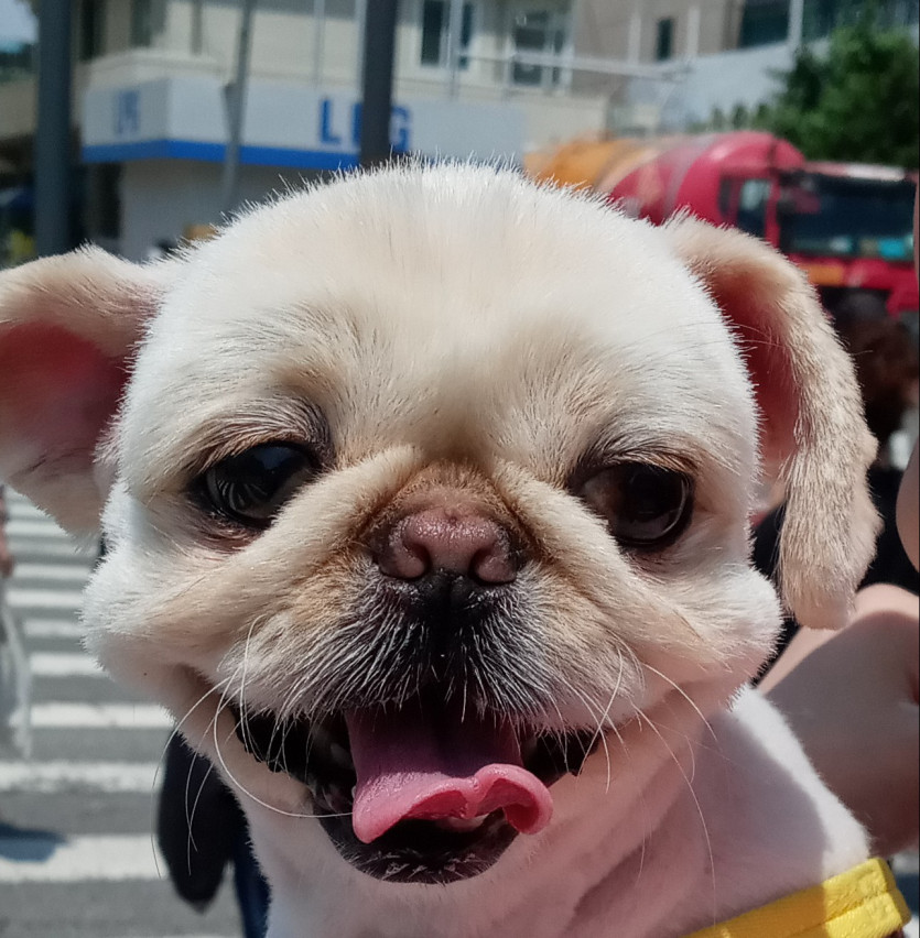 이삭토스트...퉤(0)