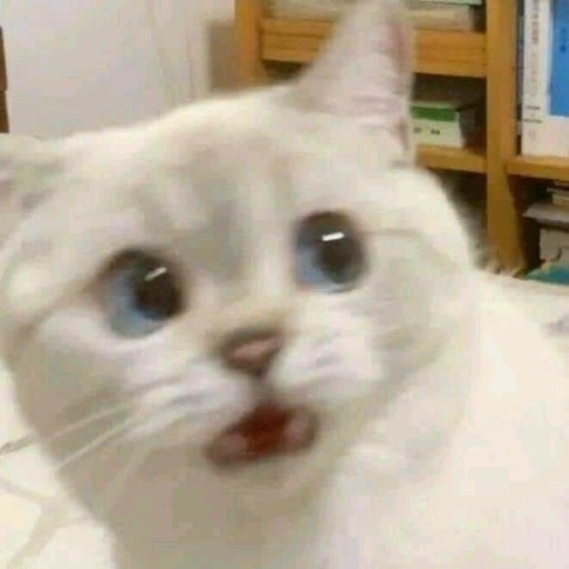 흠 포인트가..(0)