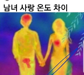 왜 다시 추운건데~~~(0)
