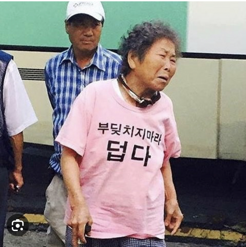 수요일 화이팅입니다!!(0)