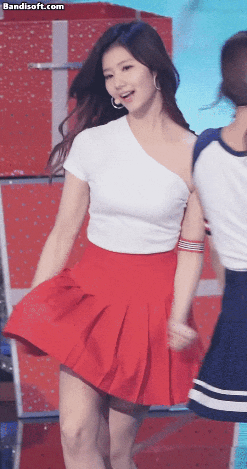 토토(0)