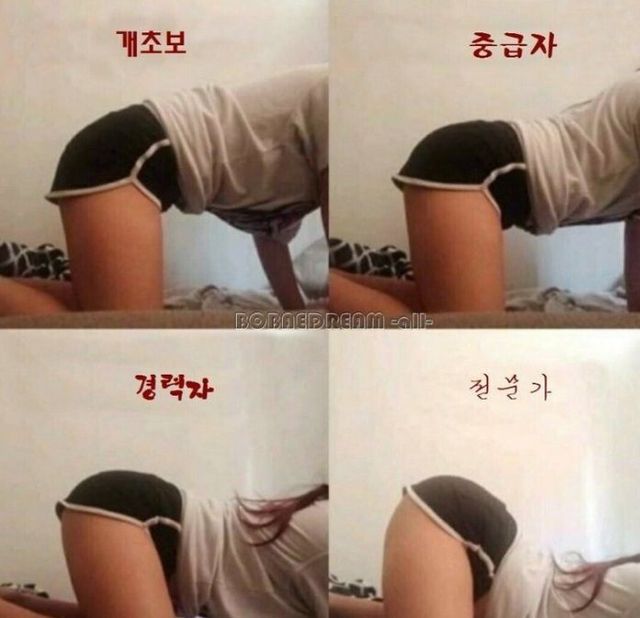 후배위 자세별 분류ㅋ(0)