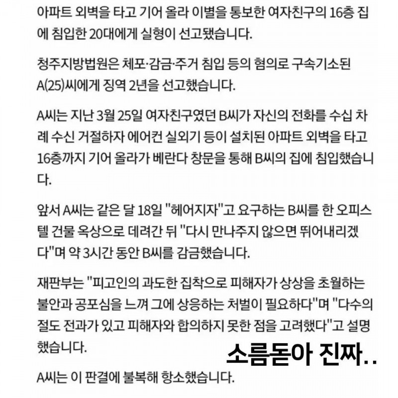 한국의 스파이더맨.jpg(2)