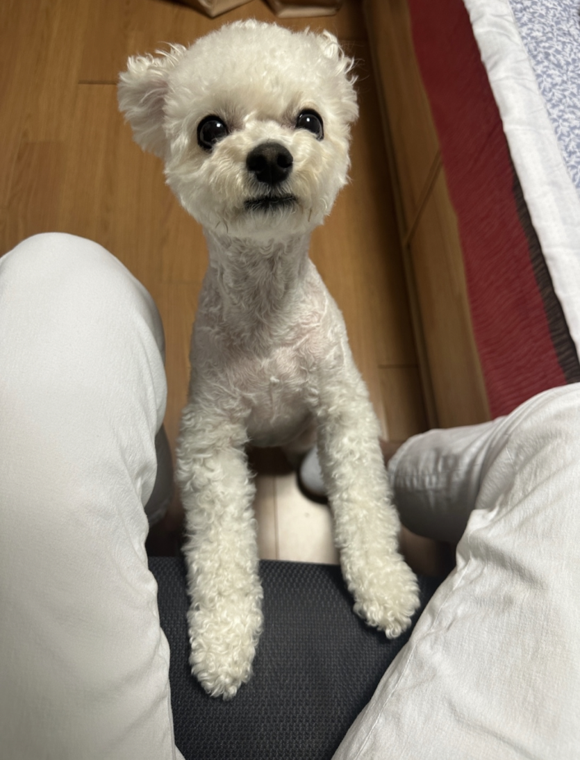 테스트(0)