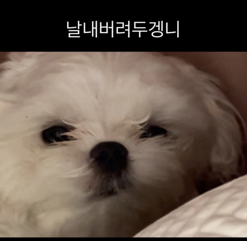 아 또 뱅줄에 당하네..(0)