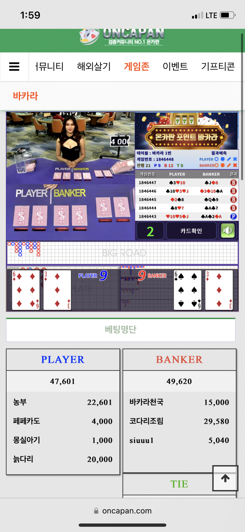 홀리...(0)