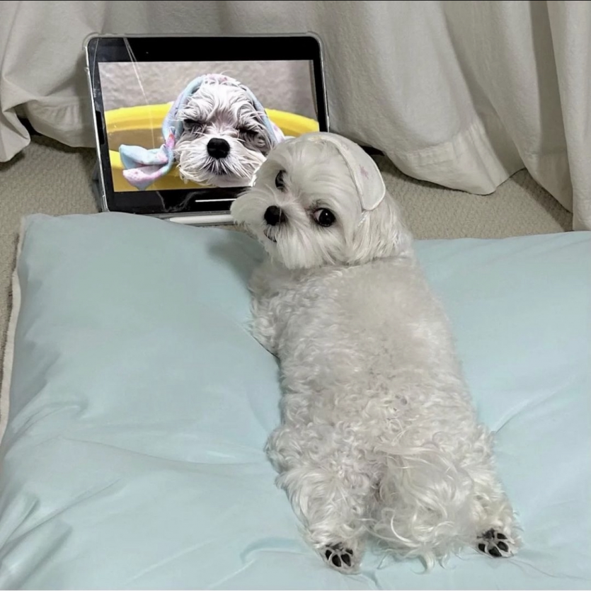 오늘 하루도 고생하셨습니다!!(0)