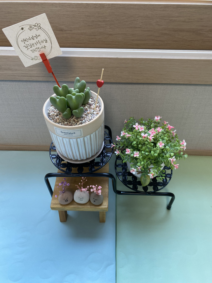 우리집에 새 식구가 왔어요~~^^(0)