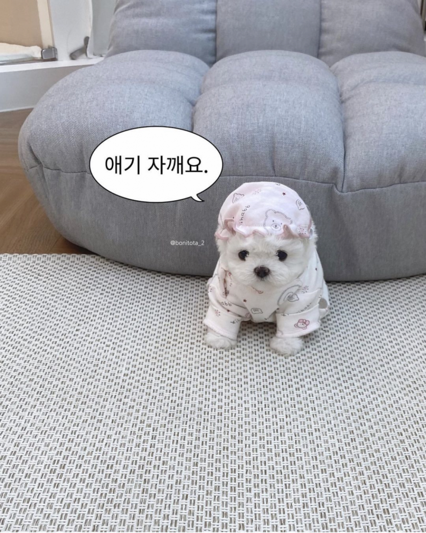 자러 가보겠습니다!(0)