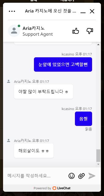 점심식사로는 ㅂ빔밥이 좋은거같아요 (Feat.아리아상담사)(1)