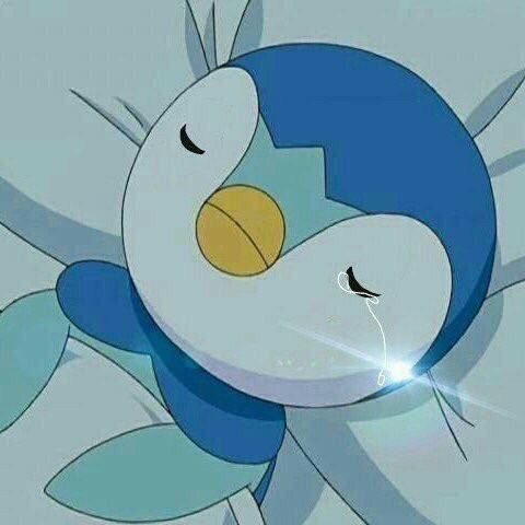 눈물도 안네요(0)