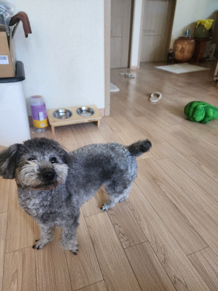 다들모하고있으시나용?(0)
