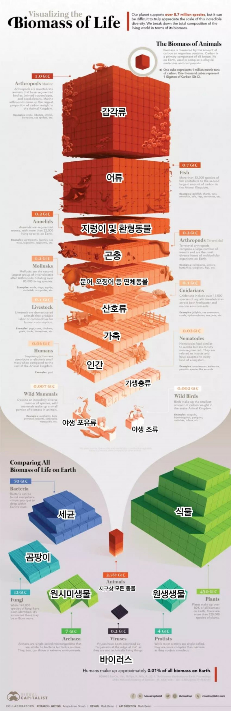 지구 생물 총 질량.jpg(0)