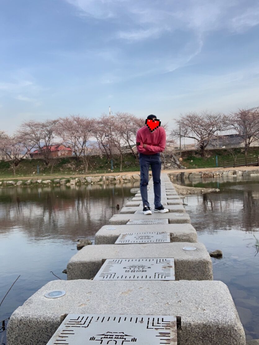 벚꽃놀이 인증(0)