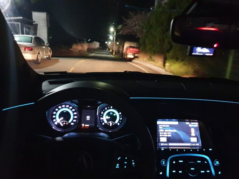 새벽산책(0)