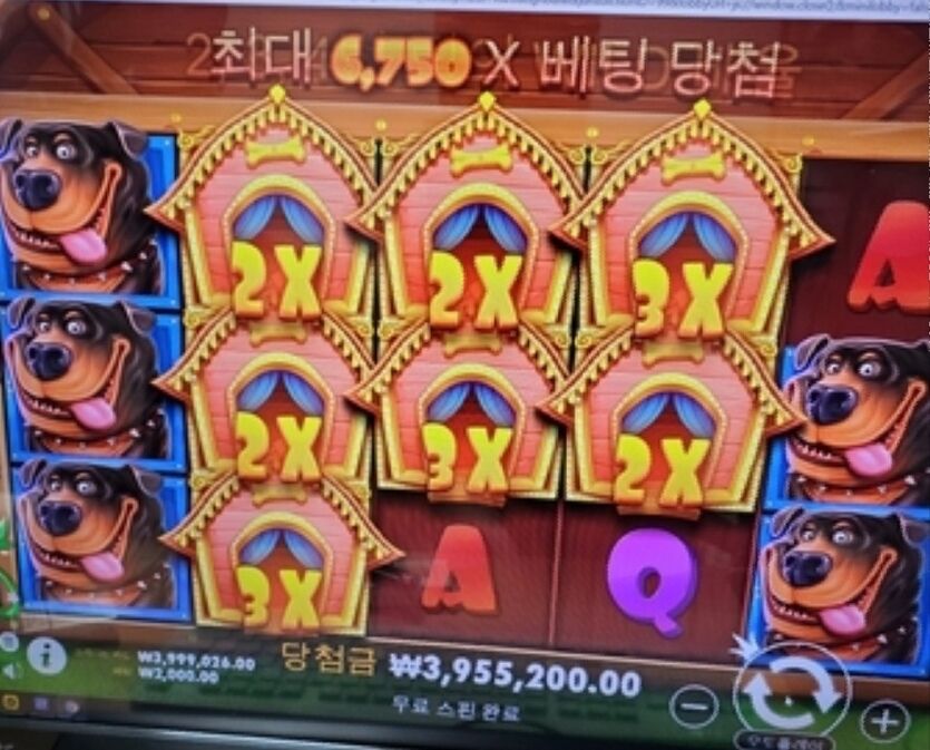 여기 사이트도 포인트충 밖에~(0)
