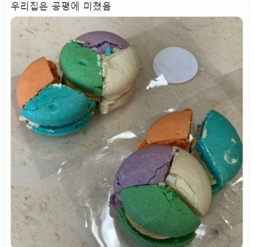 뭐든 공평한 우리가족~(0)