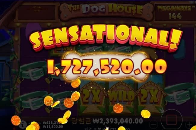 이틀연속 개집 오늘 아주 좋네~~~ㅅㅅㅅㅅㅅㅅㅅ(0)
