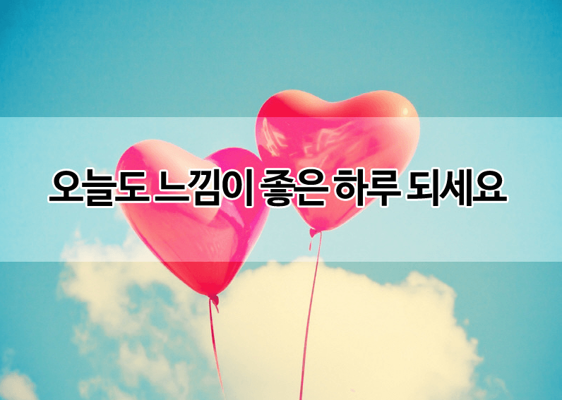 오늘만 버티면 금요일입니다(0)