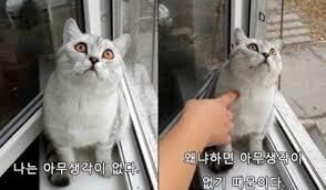 평온하다~2(0)