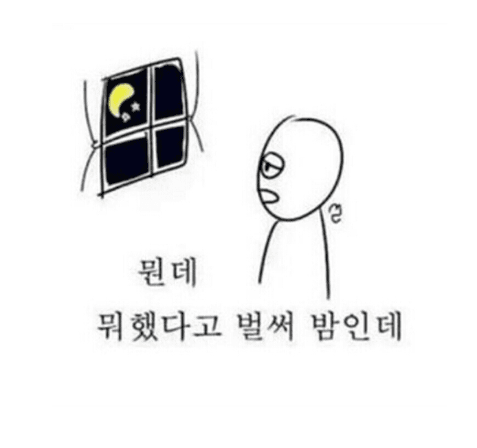 나는 일요일이 가장 싫다(0)