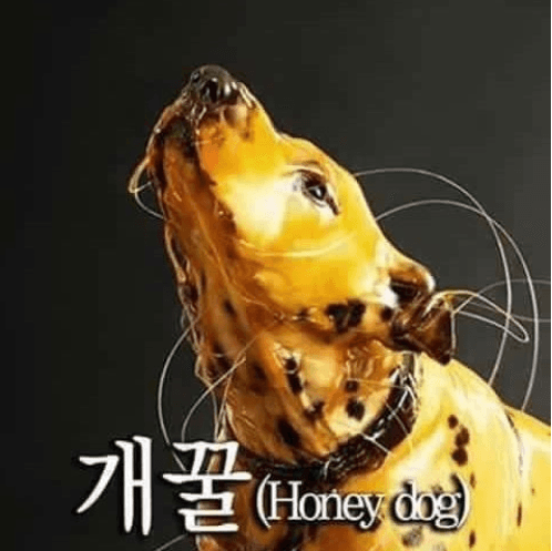 후기 이벤트 당첨!!(0)