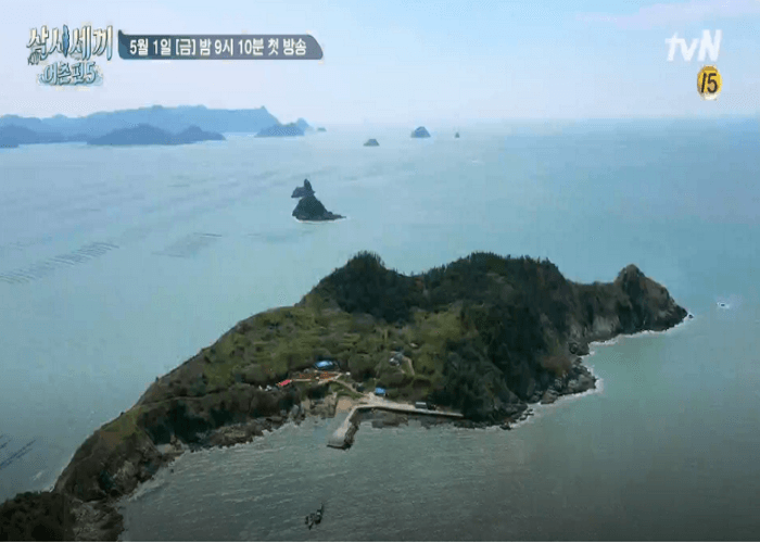 드디어 시작이네요(0)