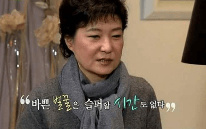 바쁜 꿀벌은 슬퍼할 시간도 없다....(0)
