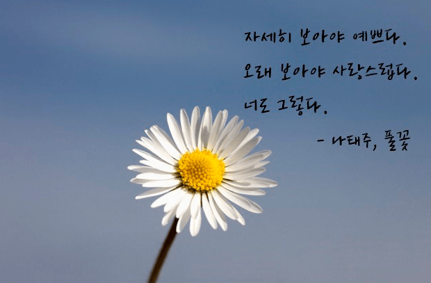 좋은 글귀를 봐도 카지노로 연관된다;;(0)