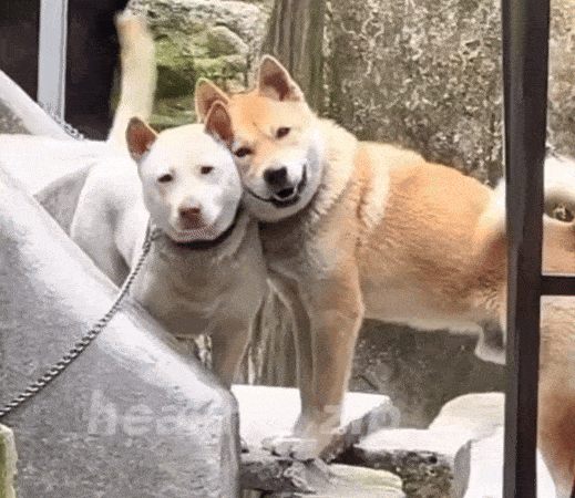 친한척해 친한척(0)