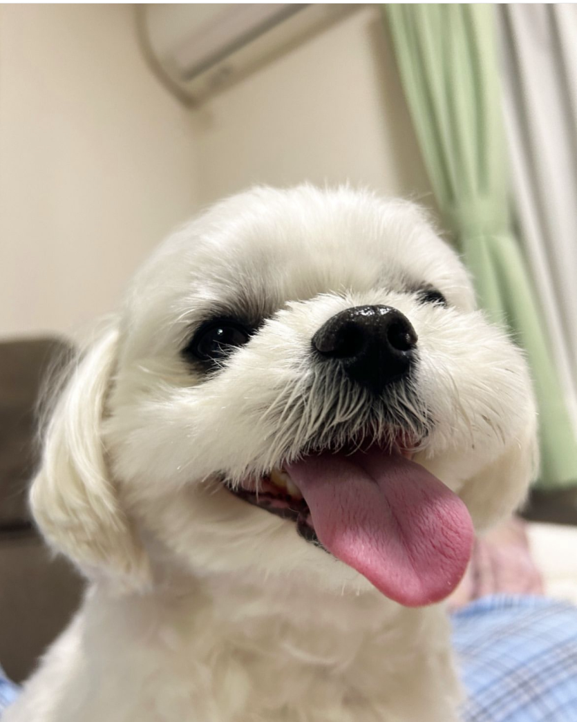 축구 시작했네여 재밌게 보세여~~ ☁️(0)