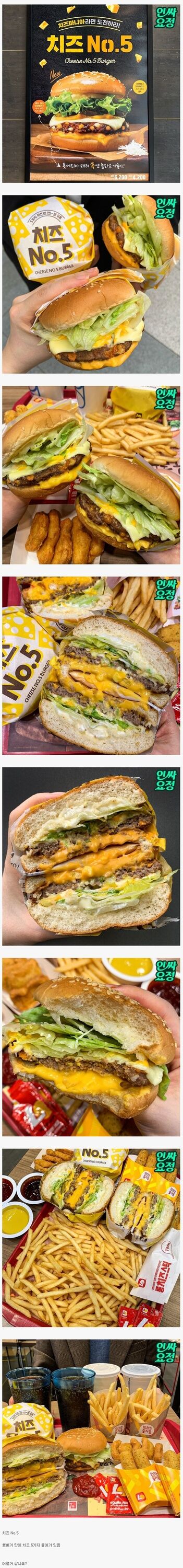 롯데리아 신메뉴?(0)