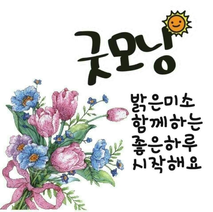 굿모닝입니다~ㅁㅁ(0)
