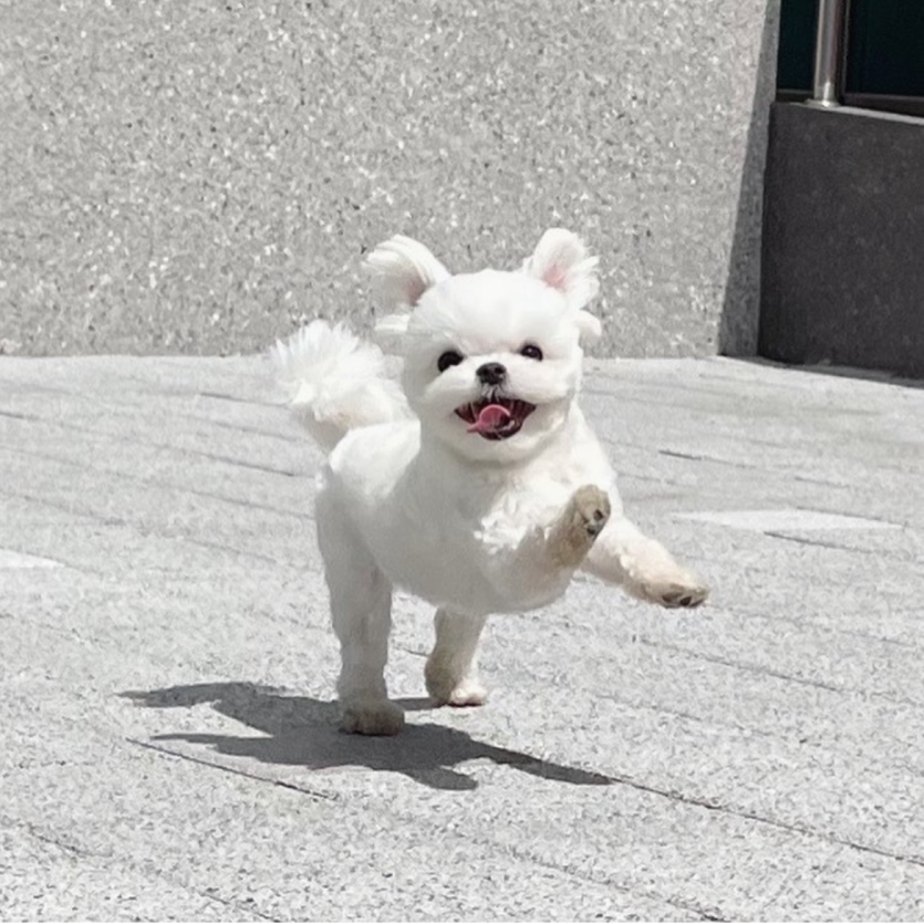 5억복구하자님 이벤트 정말 감사드립니다!!(0)