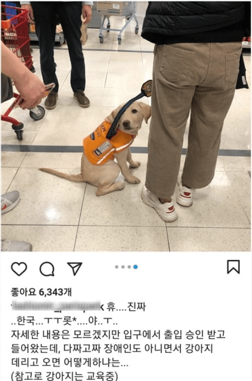 롯*마트 터졌구먼 터졌어ㅋ(0)