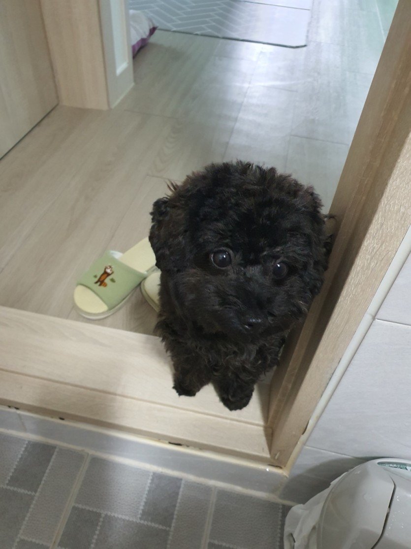 오늘도 존 하루 보내십숑!!(0)