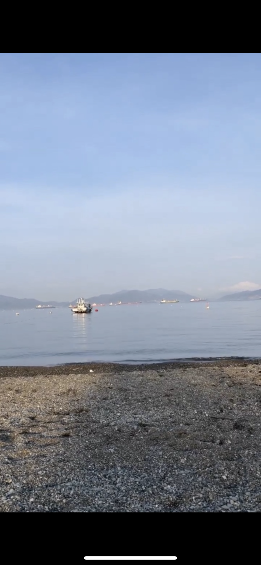 바다 왔는데(0)