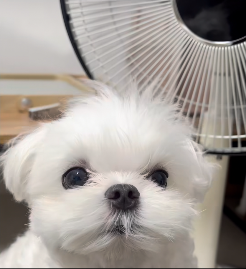 굿모닝입니다!!(0)