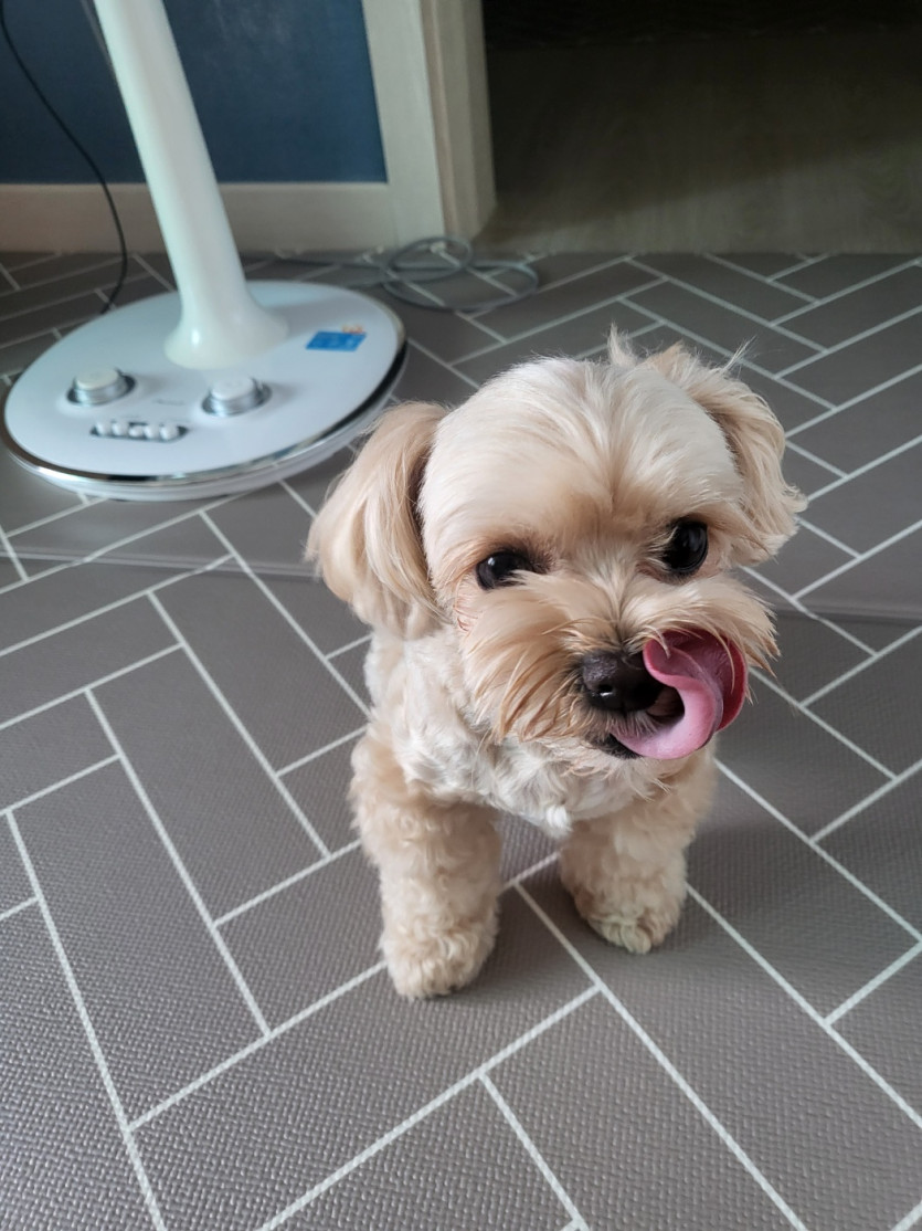 애둘아 특식 먹장!!!!!!!!!(2)
