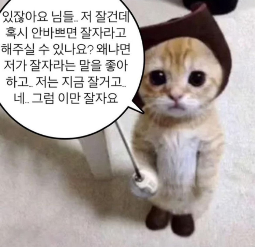 저 이제 자러 가볼게요 잘자라고 해주세요(0)