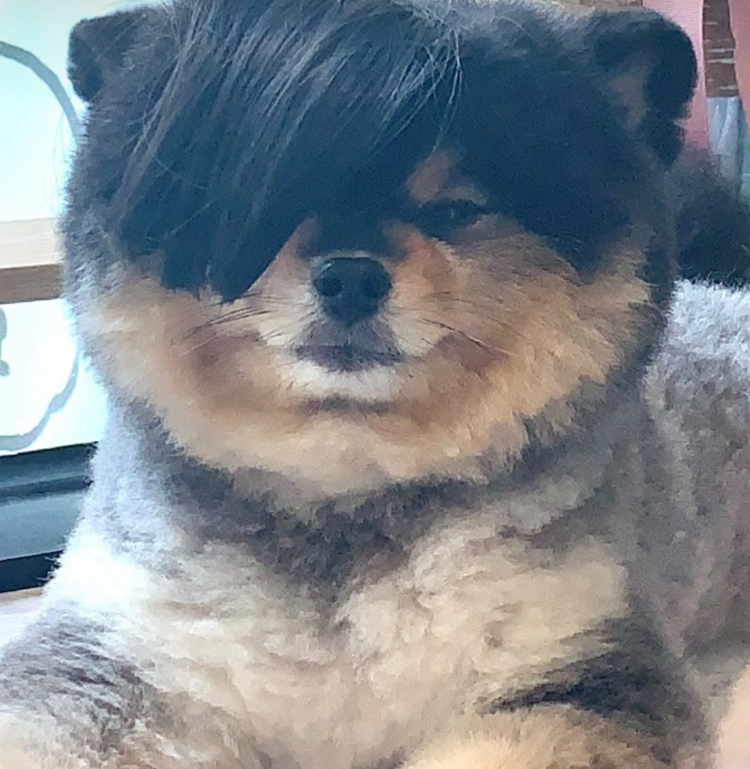 커쀠 힌잔할래여?(0)